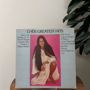 Cher Greatest Hits Vinyl Record